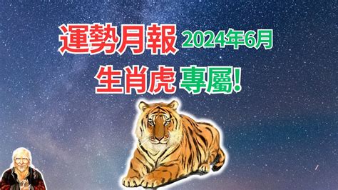 生肖屬虎|生肖虎：屬虎2024年運勢及運程，2024年屬虎人的全年每月運勢。